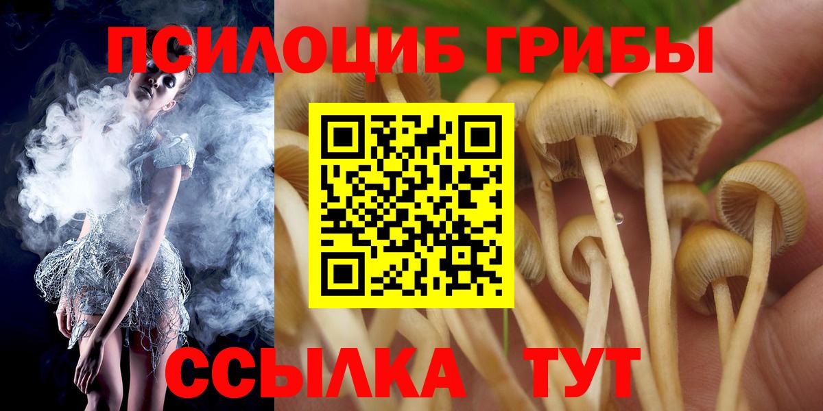 Псилоцибиновые грибы мицелий Ноябрьск