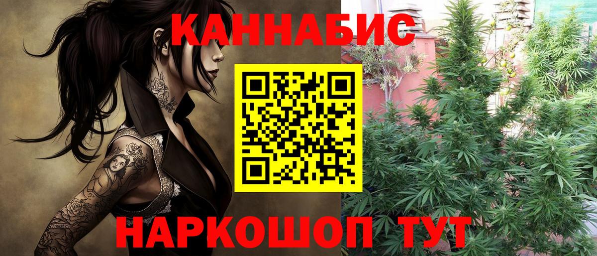 Марихуана гибрид  Вход с VPN  Бошки Шишки тримм  Ноябрьск  Канабис Amnesia 